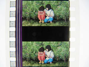 35mmフィルム6コマ541 千と千尋の神隠し スタジオジブリ 宮崎駿 Spirited Away　Hayao Miyazaki