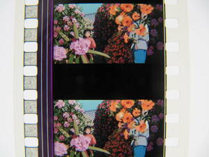 35mmフィルム6コマ552 千と千尋の神隠し スタジオジブリ 宮崎駿 Spirited Away　Hayao Miyazaki