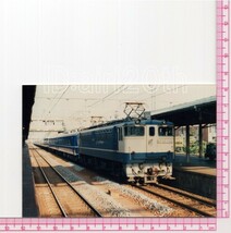 S30089【古い 鉄道 写真】5枚◇国鉄 東海地区 尾鷲駅開業50周年記念お座敷列車 さよなら急行志摩号 沼津機関区100年記念列車 ※電車_画像9