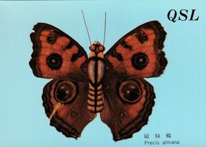 ☆QSL　中国広播公司　自由中国之聲　ベリカード 受信証明証　A2758