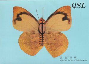 ☆QSL　雲型粉蝶　中国広播公司　自由中国之聲　ベリカード 受信証明証　A2757