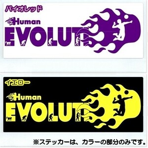 * thousand jpy and more postage 0*(30cm). on - person kind. evolution [ volleyball compilation ] originals te car, car sticker, car rear glass optimum (4)