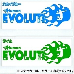 * thousand jpy and more postage 0*(30cm). on - person kind. evolution [ volleyball compilation ] originals te car, car sticker, car rear glass optimum (0)