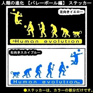 ★千円以上送料0★(15cm)人類の進化【バレーボール編】バレー好き、オリジナルステッカー、カーステッカー、車のリアガラスに最適(3)