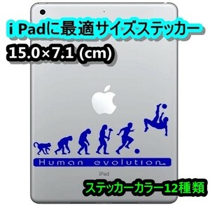 ★千円以上送料0★(15cm) 人類の進化【サッカー・フットサル編】Jリーグ、ワールドカップ好きにオリジナルステッカー、カー、車用にも、DC6