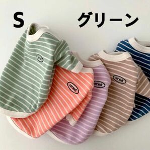 犬服　犬　服　ドッグウェア　ボーダー　Tシャツ　グリーン　Sサイズ