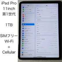Apple iPad Pro 11インチ 第1世代 2018 Cellular版 SIMフリー 中古 本体 ケース_画像1