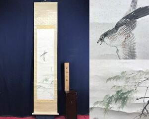 Art hand Auction Genuine work/Naoki Fukada/Blue Maple Shiki/Blue Maple and Cuckoo/Octopus/Flower and Bird Picture/Cuckoo/Hanging Scroll☆Treasure Ship☆AF-170, Painting, Japanese painting, Flowers and Birds, Wildlife