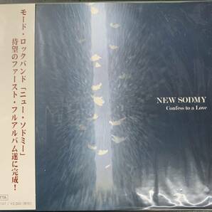 CD ■NEW SODMY/ CONFESS TO A LOVE ～ VISUAL 新品 の画像1