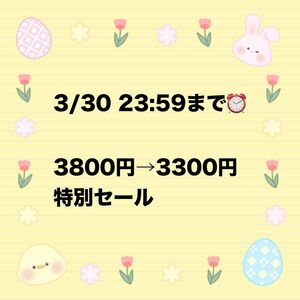 鈴木愛理 4thアルバム 「28/29」 初回生産限定盤 定価5500円+非売品 