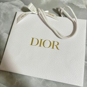 ディオール ショップ袋 ショッパー Dior
