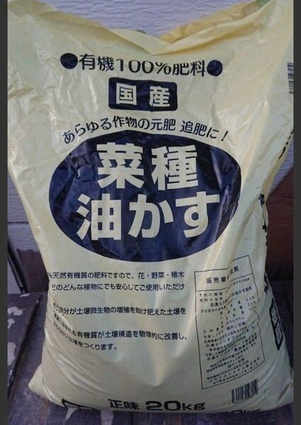 国産　菜種油　油かす　小分け900g