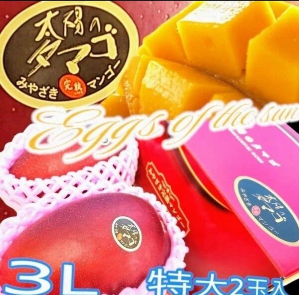 絶品【太陽のたまご】宮崎完熟マンゴー 3L大玉 2個 一箱 ギフト お祝い 贈答用 母の日 父の日 還暦祝 誕生日祝 御供