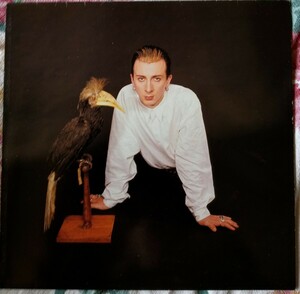 ukLP MARC ALMOND // STORIES OF JOHNNY 1985発売 写真付きスリーブ