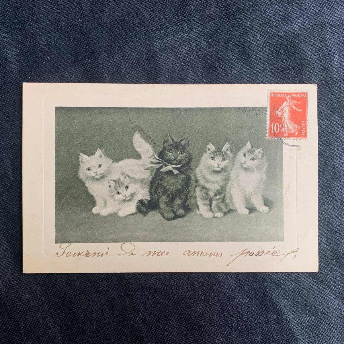 フランス 1900s 5匹の猫 イラスト ポスト カード ポスト 絵画 写真 カメラ 銀板 クラシック アート 葉書 絵葉書 アンティーク, アンティーク, コレクション, 雑貨, その他