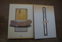 ◎図説　歴史考古学入門事典　坂詰秀一著　柏書房　定価2600円　1994年新装版_画像1