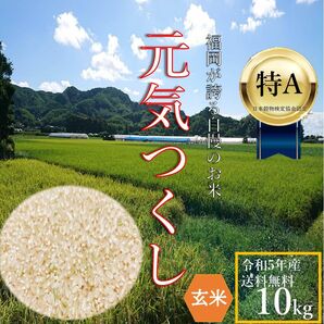 元気つくし 10kg 玄米 5年産 お米