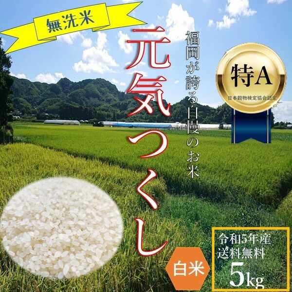 元気つくし 5kg 無洗米 5年産 お米 限定