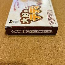 【大好きテディ】 【ゲームボーイアドバンス】 【GBA】_画像5