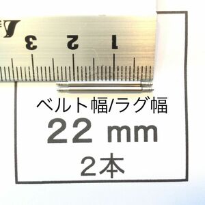 腕時計 バネ棒 ばね棒2本 22mm用 即決 即発送 おてがる便(匿名配送) 画像3枚 p