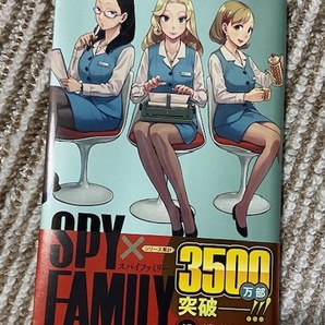 SPY×FAMILY スパイファミリー13巻／遠藤達哉の画像1