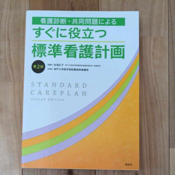 すぐに役立つ 標準看護計画　照林社　第2版