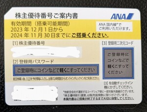 番号通知　ANA　株主優待券　有効期限2024年11月末迄　2枚セット