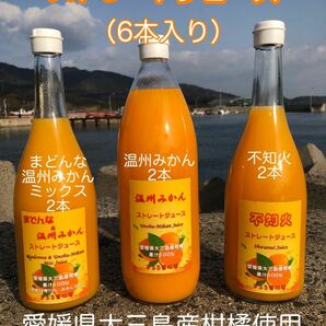 愛媛県大三島産 柑橘ストレートジュース 100% 6本セット