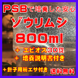 ★送料無料★PSBで培養したゾウリムシ種水800ml＋エビオス30錠＋培養説明書＋針子用粉エサ。