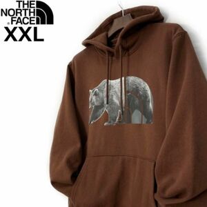 【新品タグ付き】ノースフェイス 海外限定 ベアーロゴ 裏起毛 スウェットパーカ TNF BEAR PULLOVER HOODIE 