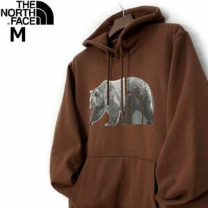 【新品タグ付き】ノースフェイス 海外限定 ベアーロゴ 裏起毛 スウェットパーカ TNF BEAR PULLOVER HOODIE 