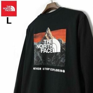 【新品】ノースフェイス 海外限定 ボックスロゴ バックプリント ロンT LONG SLEEVE BOX NSE TEE 即納