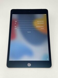 U654【動作確認済・制限○　白ロム】 iPad mini4 16GB au スペースグレイ