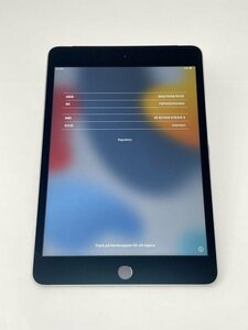 K55【美品】 iPad mini4 128GB au版SIMロック解除 SIMフリー スペースグレイ