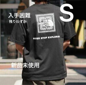 THE NORTH FACE ショートスリーブ バンダナロゴ スクエアロゴ Tシャツ ノースフェイス バックプリント 半袖