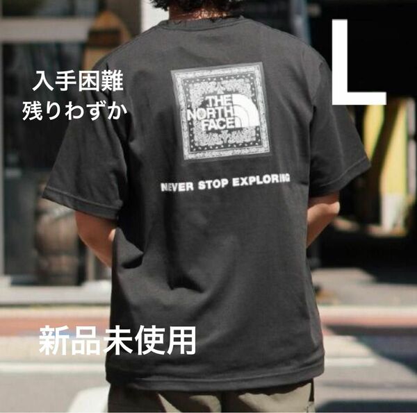 THE NORTH FACE ショートスリーブ バンダナロゴ スクエアロゴ Tシャツ ノースフェイス バックプリント 半袖