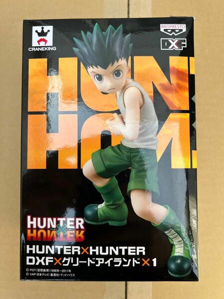 HUNTER×HUNTER ゴン　DXF フィギュア　グリードアイランド