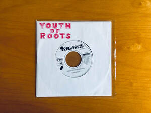 Youth Of Roots / Ryu Theme Of Youth Of Roots / Heat Problem 2010 7インチレコード