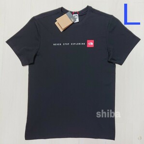 THE NORTH FACE ノースフェイス tシャツ 半袖 トップス 人気 ボックスロゴ 黒 ブラック NSE 海外Lサイズの画像1