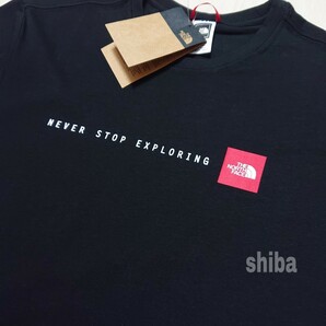 THE NORTH FACE ノースフェイス tシャツ 半袖 トップス 人気 ボックスロゴ 黒 ブラック NSE 海外Lサイズの画像2