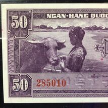 World Banknote Grading SOUTH VIET NAM《National Bank》50 Dong【1956】『PMG Grading About Uncirculated 55 EPQ』_画像3