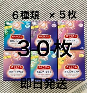 めぐりズム 蒸気でホットアイマスク　6種類 30枚