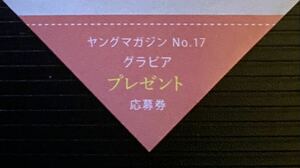 ヤングマガジン2024年7号 南みゆか　直筆サイン入りチェキorグッズプレゼント応募券　②