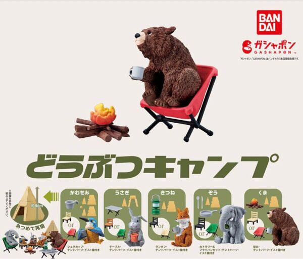 どうぶつキャンプ01