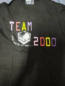 ももいろクローバーＺ　TEAM2000コラボTシャツ 百田夏菜子　玉井詩織　佐々木彩夏　高城れに