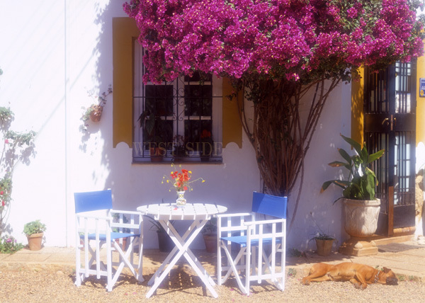 [Versandkosten werden von uns übernommen] Tisch und Stühle Bougainvillea Spanien Ungerahmtes A4-Foto von Genyo Tatsumi, Kunstwerk, Malerei, Grafik