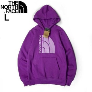 1円～!売切!【正規新品】THE NORTH FACE◆JUMBO HALF DOME HOODIE パーカー US限定 グラフィック ビッグハーフドーム(L)紫 181130-33