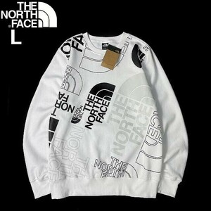 1円～!売切!【正規新品】THE NORTH FACE◆GRAPHIC INJECTION CREW プルオーバー トレーナー US限定 レア グラフィック(L)白 181130-28