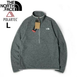 1円～!売切!【正規新品】THE NORTH FACE◆ALPINE POLARTEC 100 1/2-ZIP JACKET フリース ハーフジップ US限定 軽量(L)グレー 181024-35