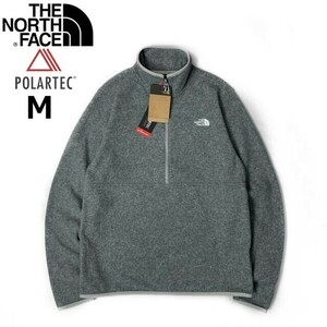 1円～!売切!【正規新品】THE NORTH FACE◆ALPINE POLARTEC 100 1/2-ZIP JACKET フリース ハーフジップ US限定 軽量(M)グレー 181024-35